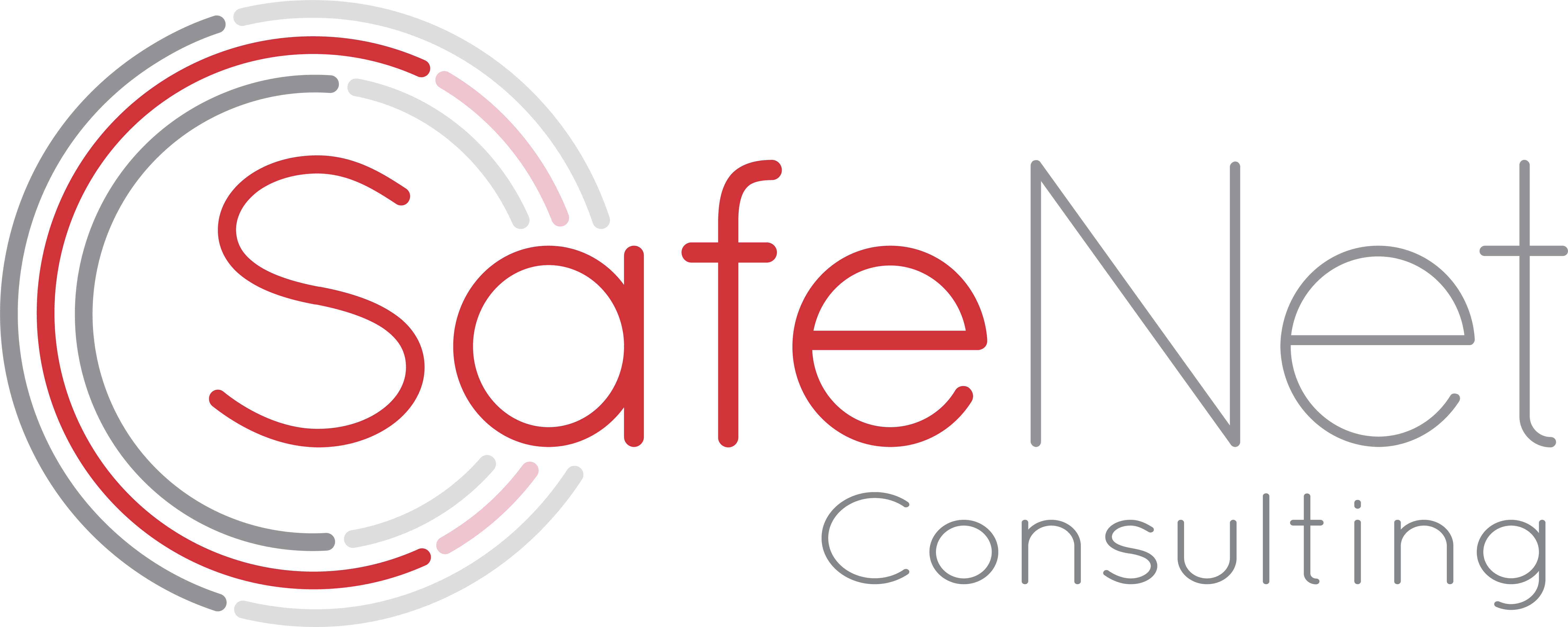 SafeNet Consulting Logo