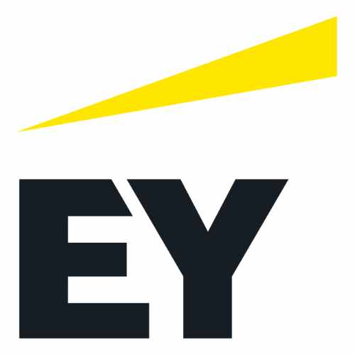 Ernst & Young Nederland LLP Logo